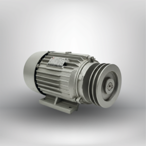 tianshan yl90s 2 industrial induction motor